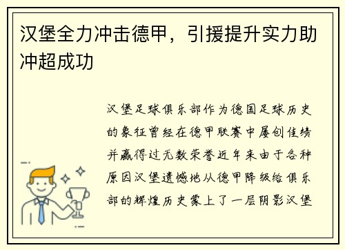 汉堡全力冲击德甲，引援提升实力助冲超成功
